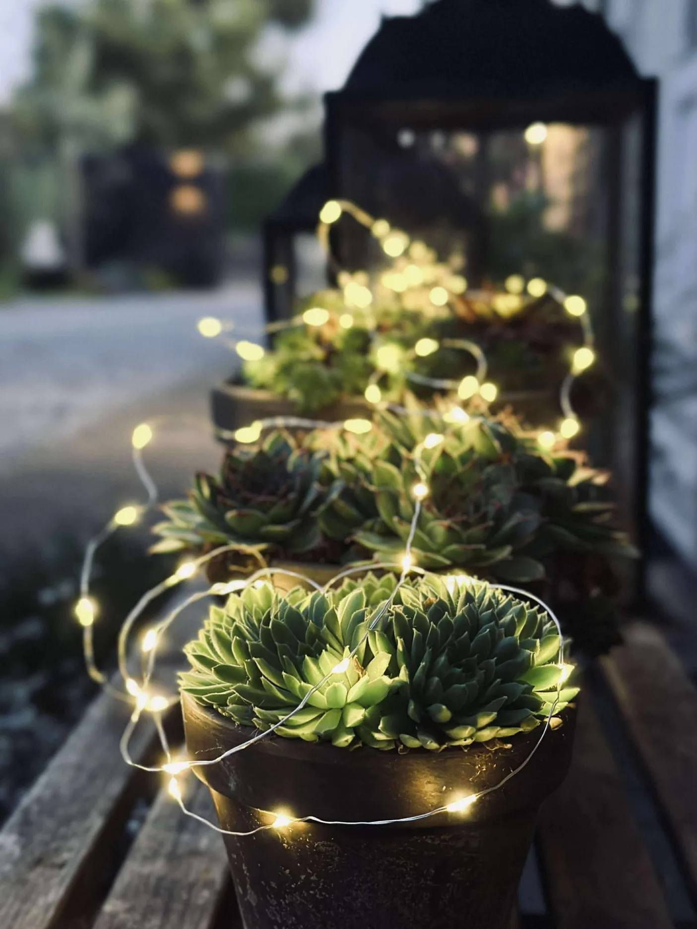 Lyskæde Marly m. Solar - 100 lys