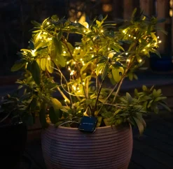 Lyskæde Marly m. Solar - 100 lys