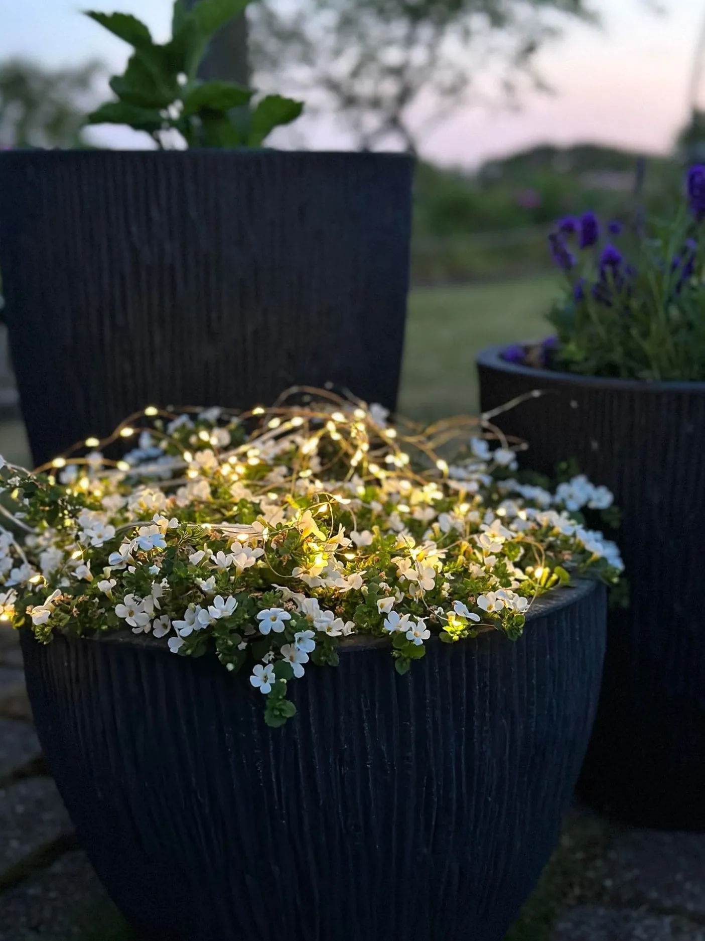 Lyskæde Marly m. Solar - 100 lys