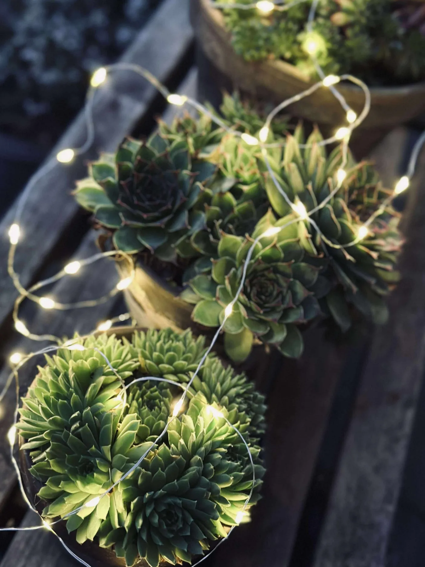 Lyskæde Marly m. Solar - 100 lys