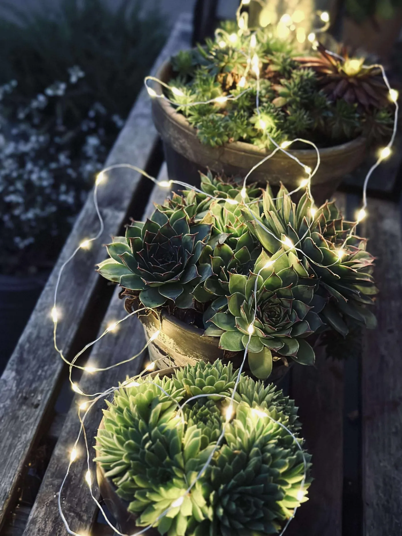 Lyskæde Marly m. Solar - 100 lys