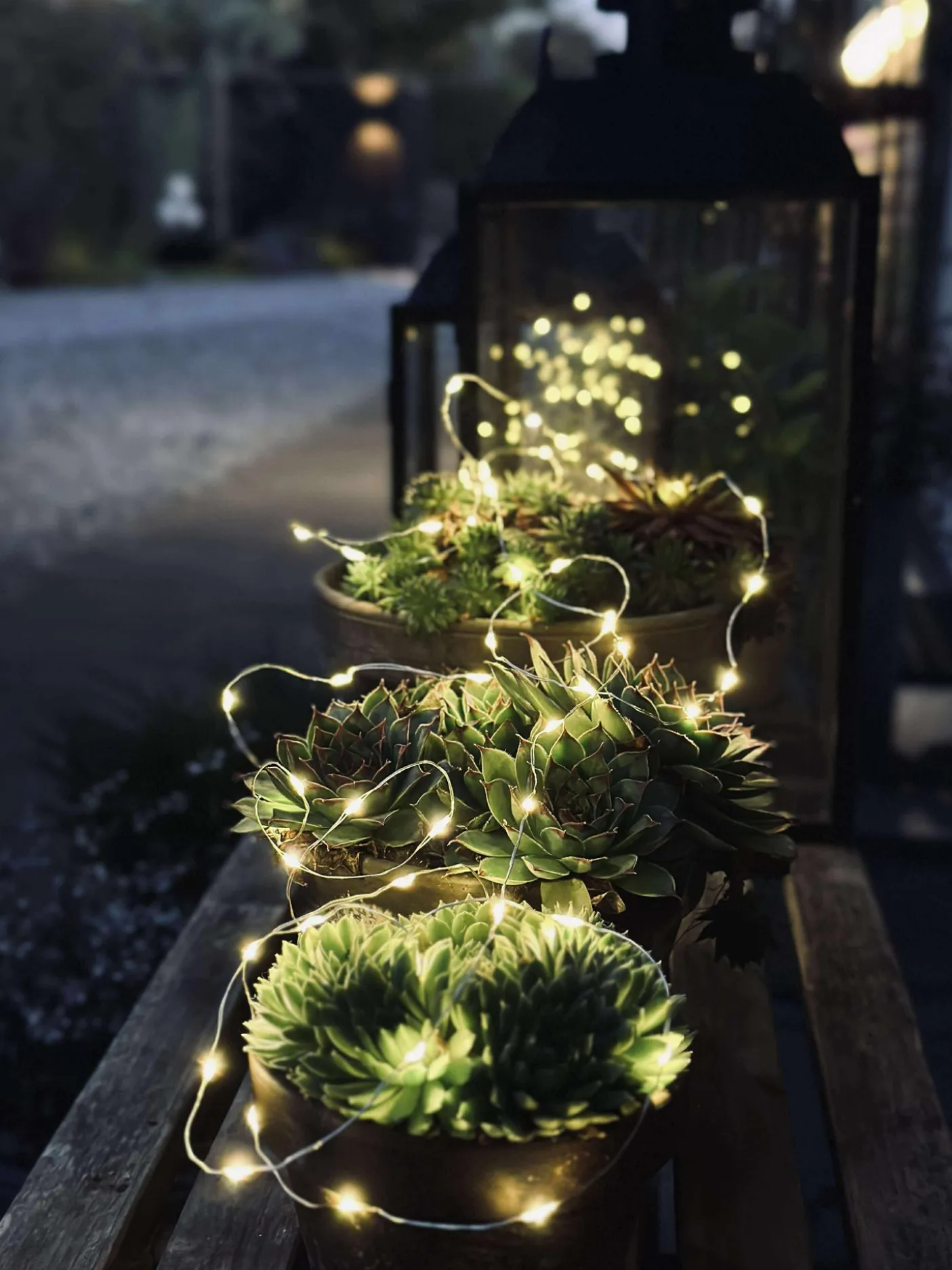 Lyskæde Marly m. Solar - 100 lys