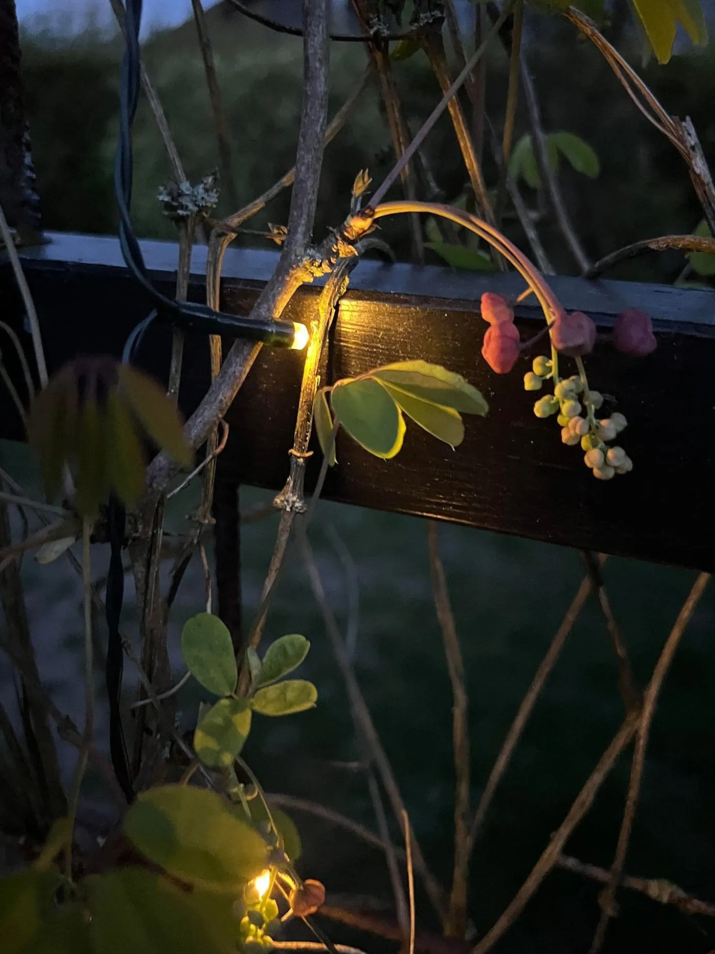 Lyskæde med 60 led lys - solceller - Ekstra kraftig