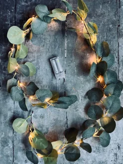 Lyskæde med eucalyptus