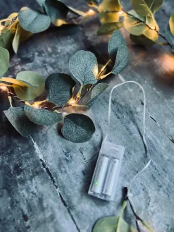 Lyskæde med eucalyptus