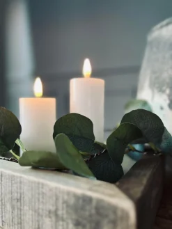 Lyskæde med eucalyptus