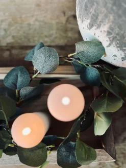 Lyskæde med eucalyptus