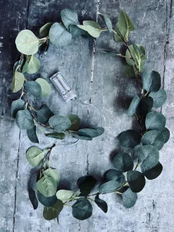 Lyskæde med eucalyptus