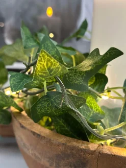 Lyskæde med grønne efeublade - 290cm