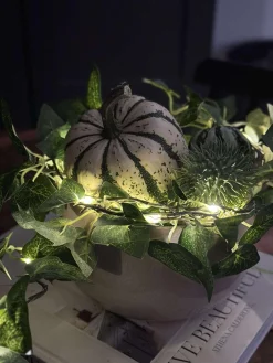 Lyskæde med grønne efeublade - 290cm