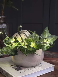 Lyskæde med grønne efeublade - 290cm