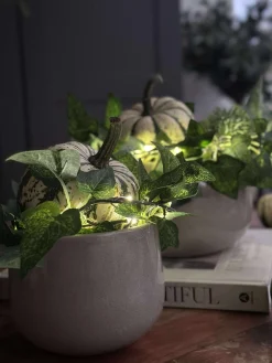 Lyskæde med grønne efeublade - 290cm