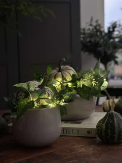 Lyskæde med grønne efeublade - 290cm