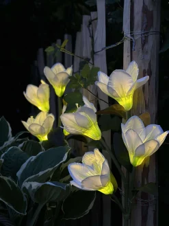 Magnolia med solceller - Hvid