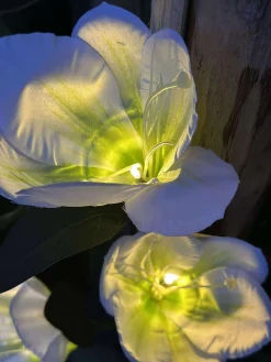 Magnolia med solceller - Hvid