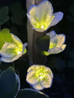 Magnolia med solceller - Hvid