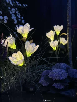 Magnolia med solceller - Hvid