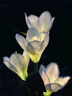 Magnolia med solceller - Hvid