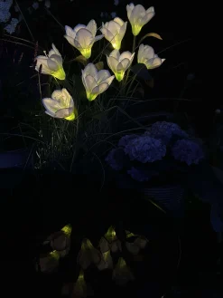 Magnolia med solceller - Hvid