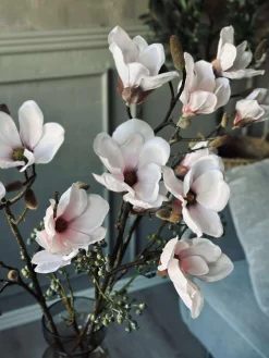 Magnoliagren pink - 92cm