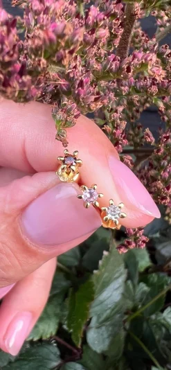 Mix box GIA Brown, pink, clear 18K forgyldt