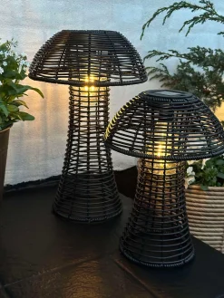 Mushroom Solar - Black Small