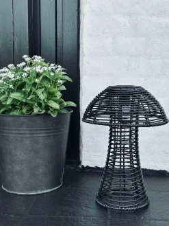 Mushroom Solar - Black Small