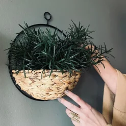 Ophæng med plantekurv - Mellem