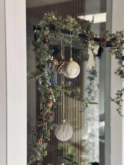 Ophæng med sugekopper