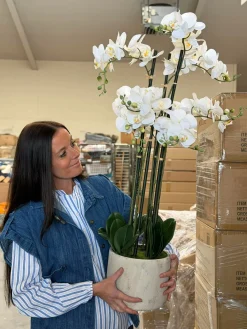 Orkidé i Potte 105 cm - Hvid