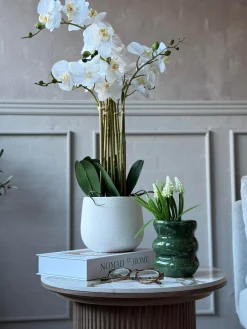 Orkidé i Potte 65 cm - Hvid