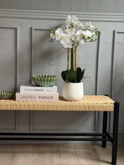 Orkidé i Potte 65 cm - Hvid