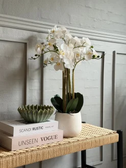 Orkidé i Potte 65 cm - Hvid