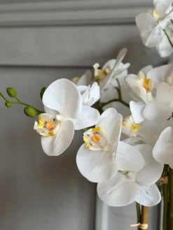 Orkidé i Potte 65 cm - Hvid