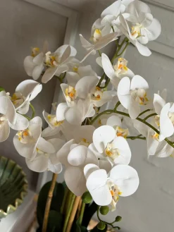 Orkidé i Potte 65 cm - Hvid