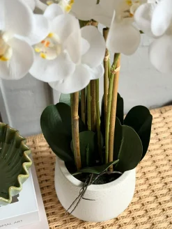 Orkidé i Potte 65 cm - Hvid