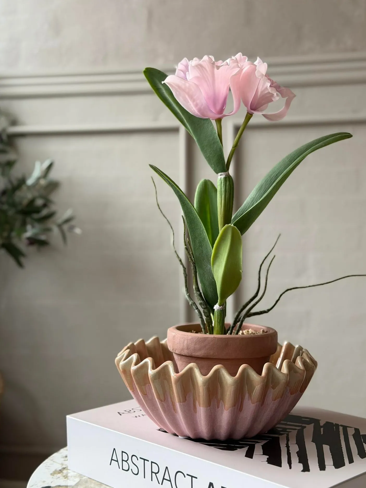 Orkidé i Potte Rosa - Flere størrelser