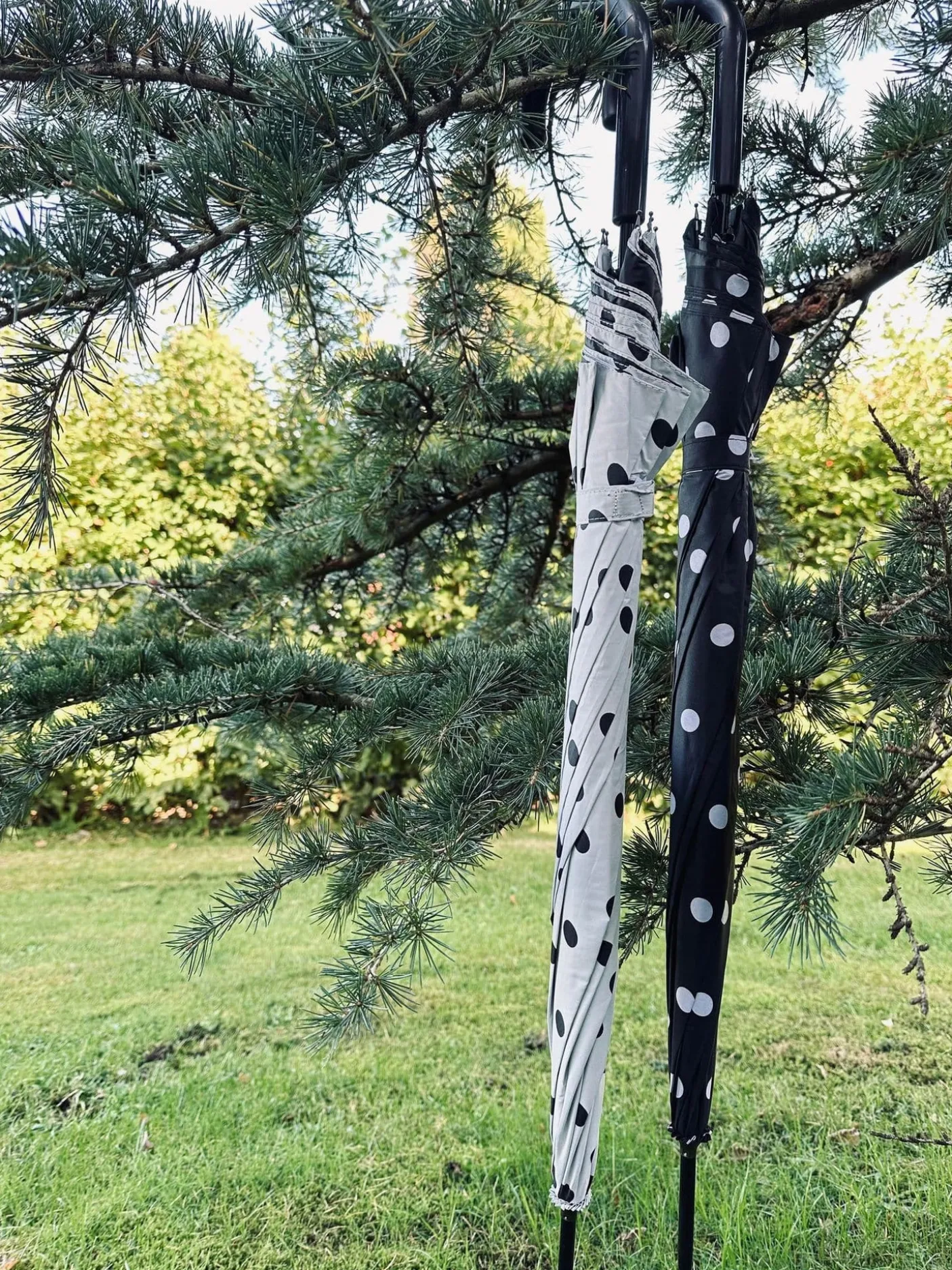 Paraply - Hvid med dots