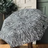 Paraply – Zebra