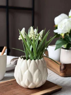 Perlehyacint moskugle - Hvid