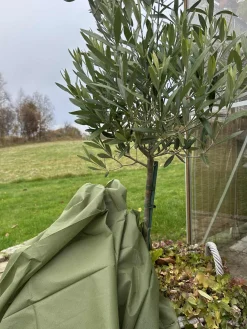 Plantebeskyttelse - 10 meter