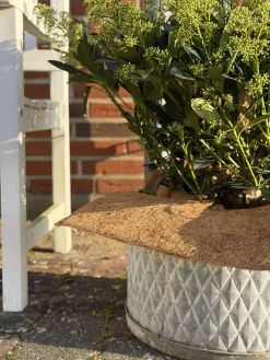 Plantebeskyttelse Kokos - Sæt med 3 stk