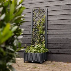 Plantekasse med espalier