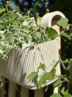 Plantekasse med ophæng – Creme