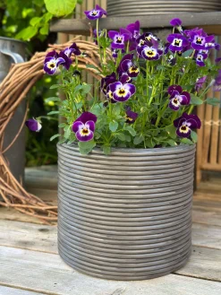 Plantekurv Grå - Sæt af 3 stk.