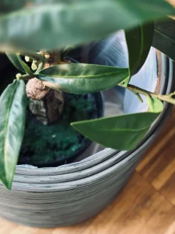 Plantekurv Grå - Sæt af 3 stk.