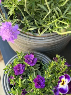 Plantekurv Grå - Sæt af 3 stk.