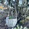 Plantekurv med ophæng
