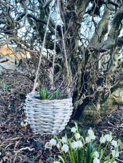 Plantekurv med ophæng