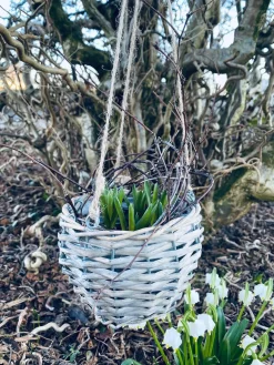 Plantekurv med ophæng